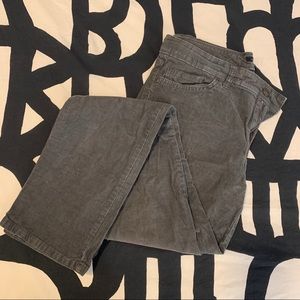 Tommy Corduroy Pants